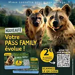 Aux Murmures Des Pierres
